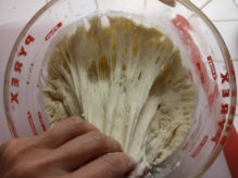 gluten strands